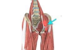 Sprains and Strains